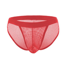 Fishnet Bikini Briefs