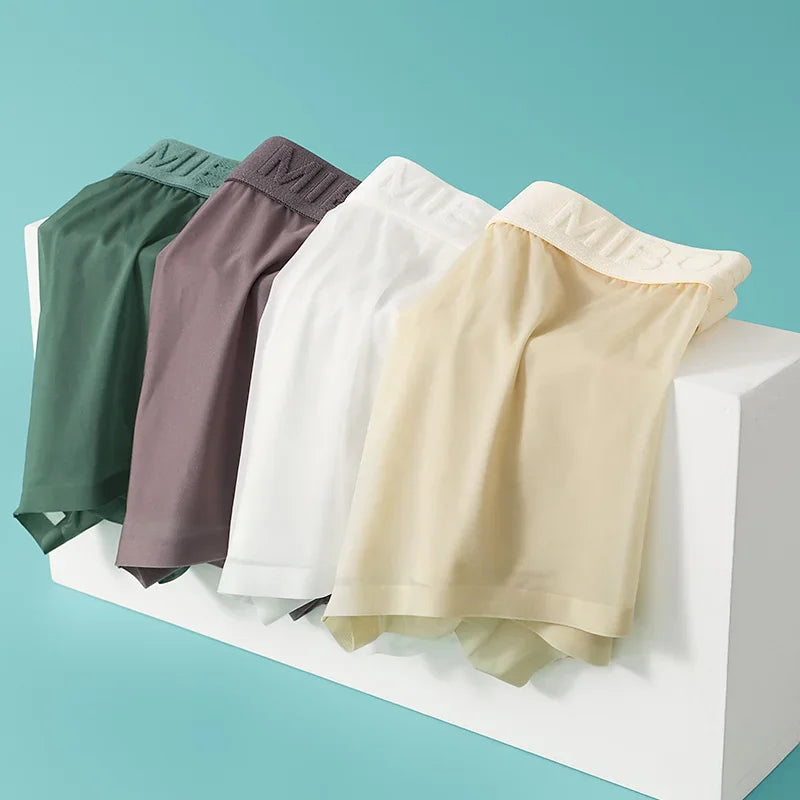 Translucent Boxer Briefs