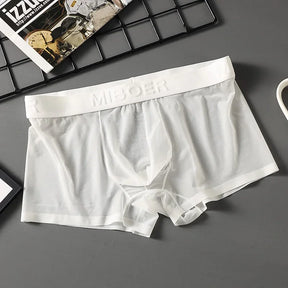 Translucent Boxer Briefs