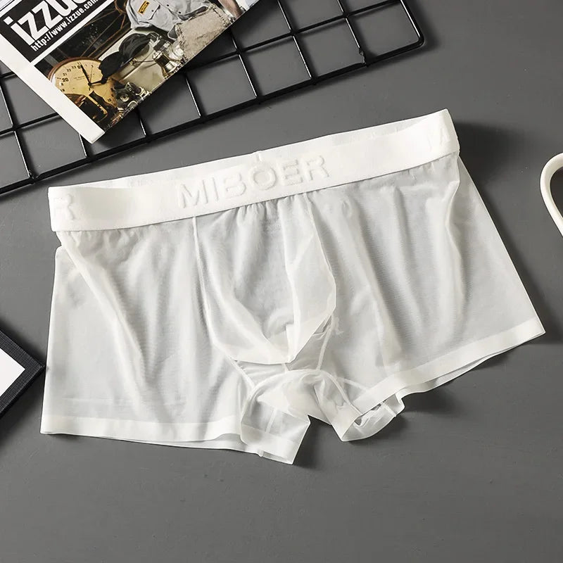 Translucent Boxer Briefs