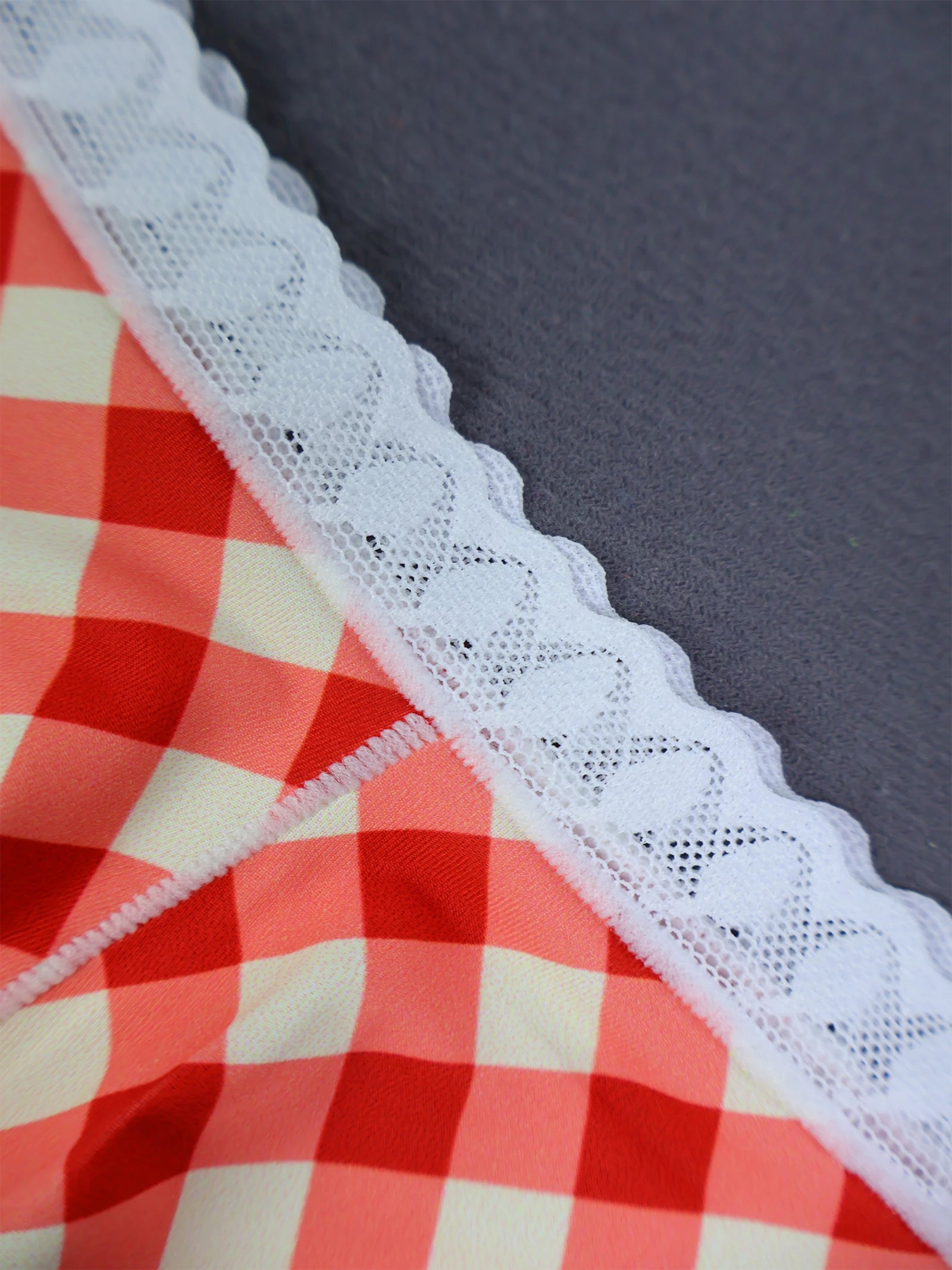 Picnic Lace Briefs