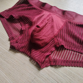 Satin Striped Mesh Boxer Briefs