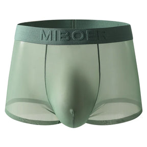 Translucent Boxer Briefs