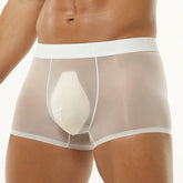 Translucent Boxer Briefs