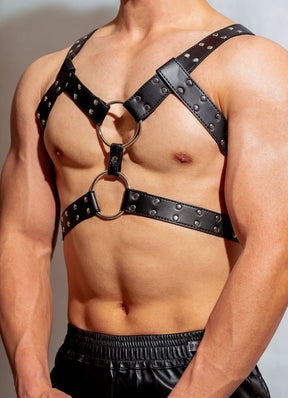 DM Double-Ring Harness