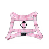 DM F**K Harness